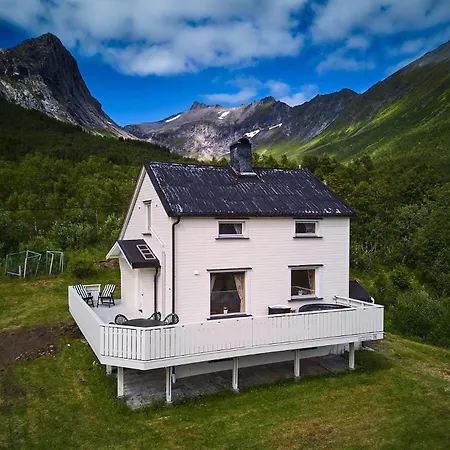 Vintage Godfjord *