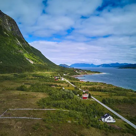 Vintage Godfjord *